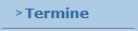 Termine