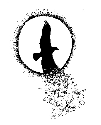 Schmetterlinge 1992 Tusche