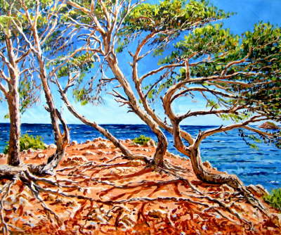 Auf der Halbinsel Presqu�Ile de Capelan 