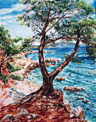 Pinie an der Steilk�ste