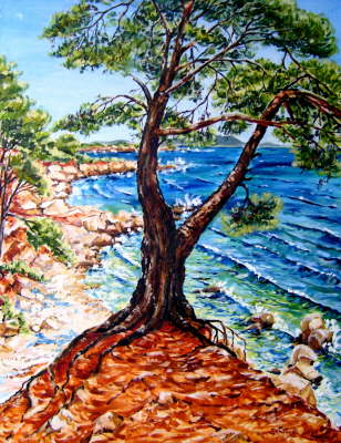 Pinie an der Steilk�ste